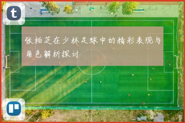 张柏芝在少林足球中的精彩表现与角色解析探讨