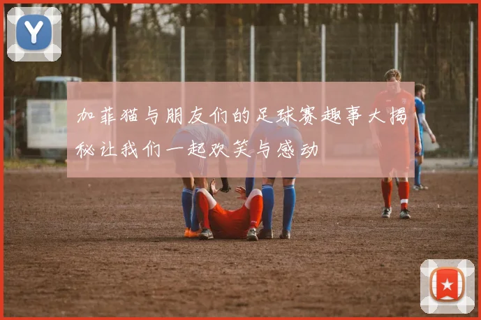 加菲猫与朋友们的足球赛趣事大揭秘让我们一起欢笑与感动