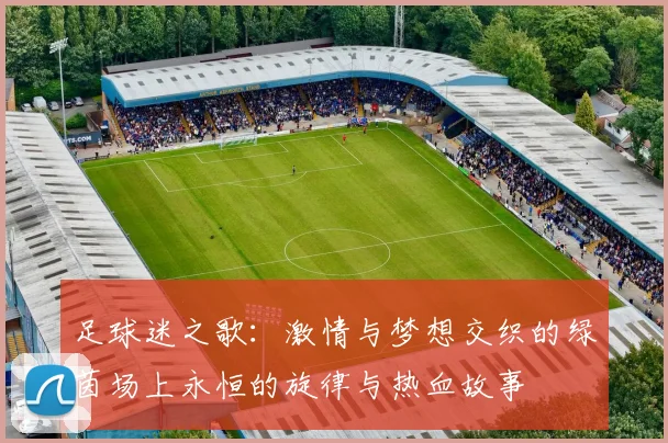 足球迷之歌：激情与梦想交织的绿茵场上永恒的旋律与热血故事