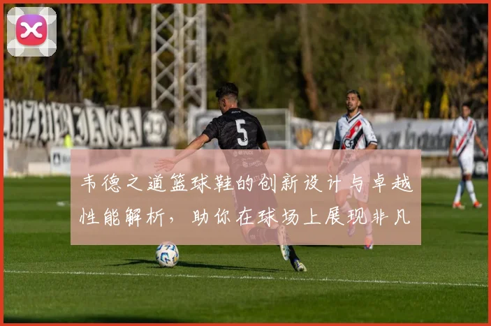 韦德之道篮球鞋的创新设计与卓越性能解析，助你在球场上展现非凡实力