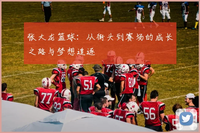 张大龙篮球：从街头到赛场的成长之路与梦想追逐