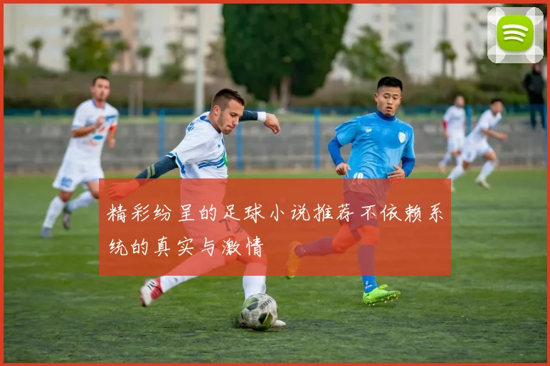 精彩纷呈的足球小说推荐不依赖系统的真实与激情